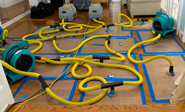 Professional Basement Flood Cleanup technician working in Viborg, SD